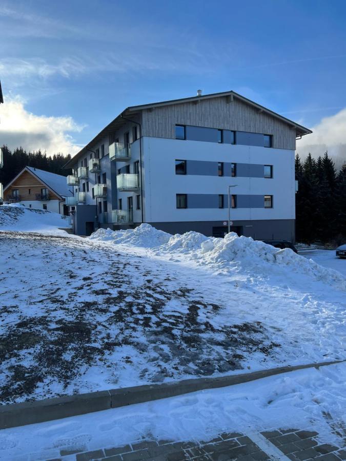 Utulny Jednopokojovy V Alpskem Stylu Na Klinovci Apartment