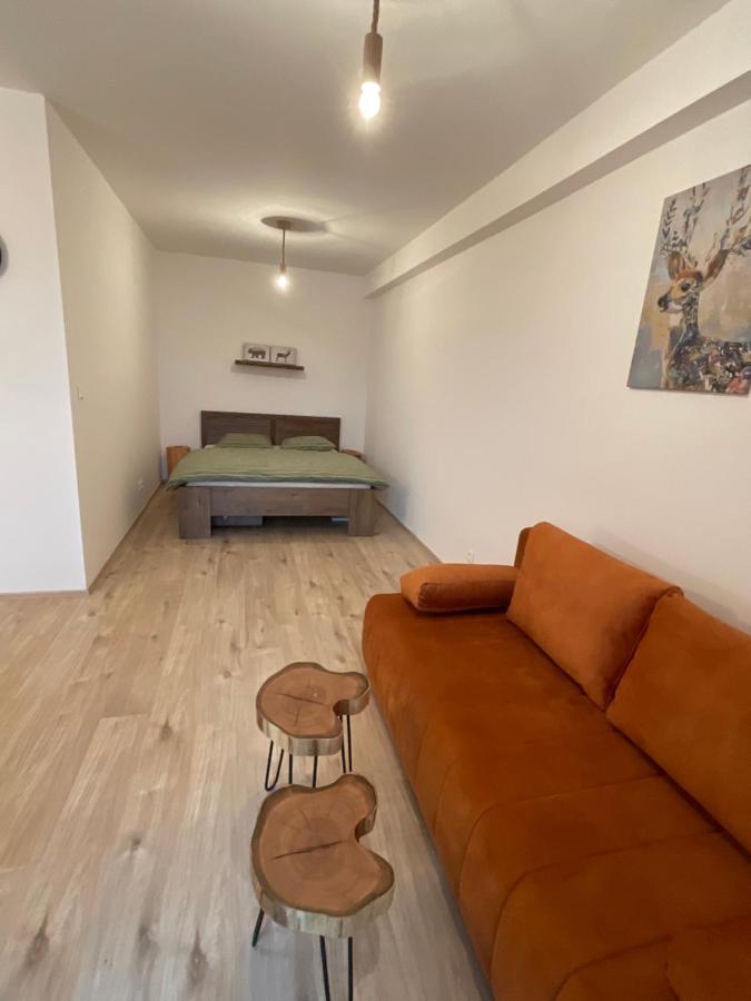 Apartment Utulny Jednopokojovy V Alpskem Stylu Na Klinovci